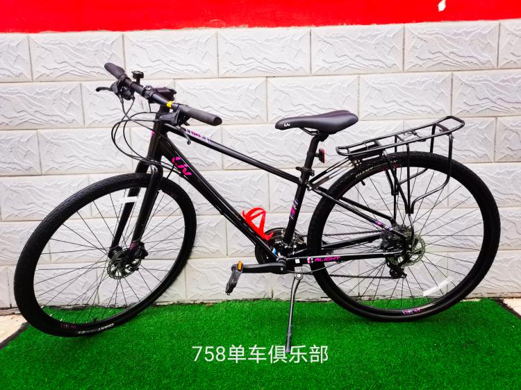 捷安特直把公路Escape1 Liv-青海湖单车骑行